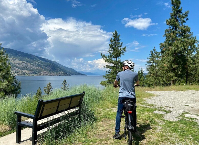 Picture 7 for Activity Kelowna: Okanagan Lake Guided E-Bike Tour with Picnic