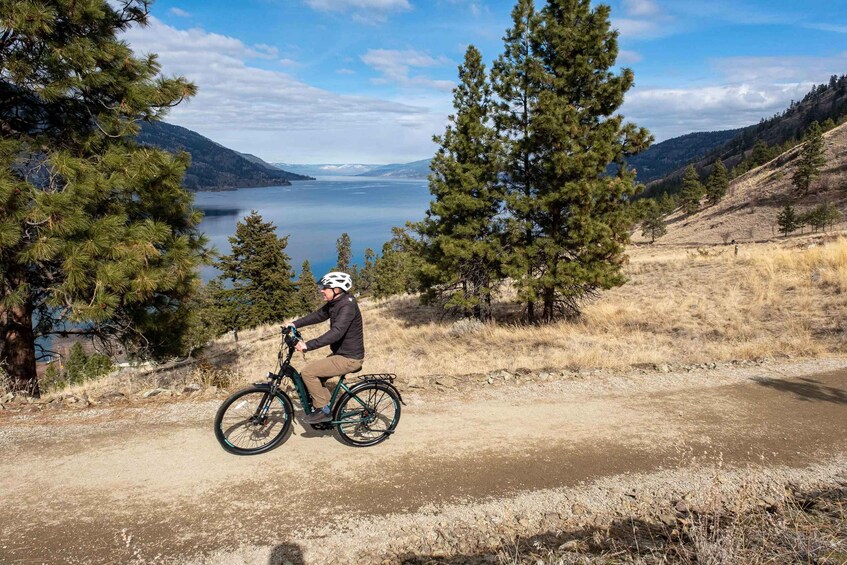 Picture 4 for Activity Kelowna: Okanagan Lake Guided E-Bike Tour with Picnic