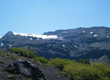 Conguillío National Park Tour - Full day