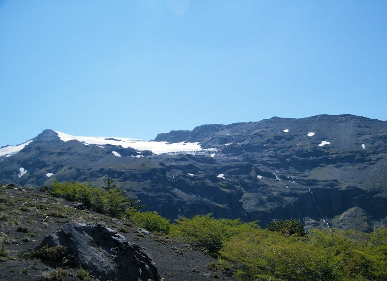 Conguillío National Park Tour - Full day