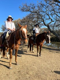 From Colonia del Sacramento: Horse Ride Experience