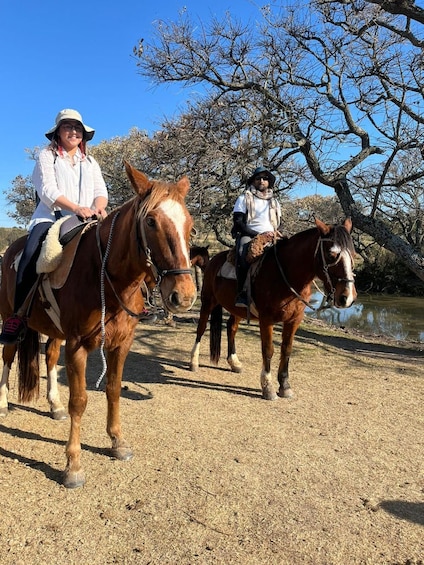 Picture 6 for Activity From Colonia del Sacramento: Horse Ride Experience