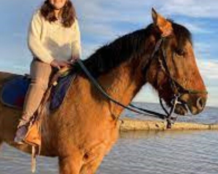 Picture 3 for Activity From Colonia del Sacramento: Horse Ride Experience