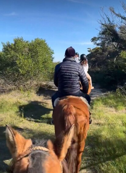 Picture 1 for Activity From Colonia del Sacramento: Horse Ride Experience