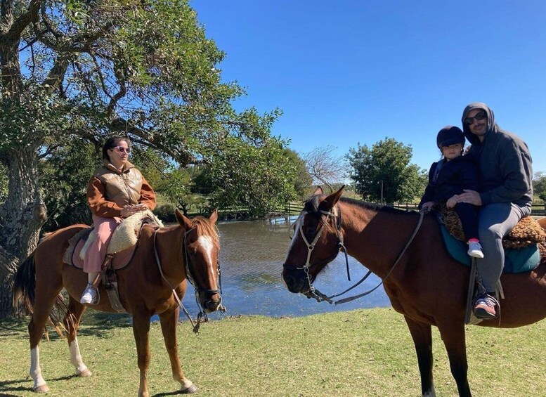 Picture 3 for Activity From Colonia del Sacramento: Horse Ride Experience