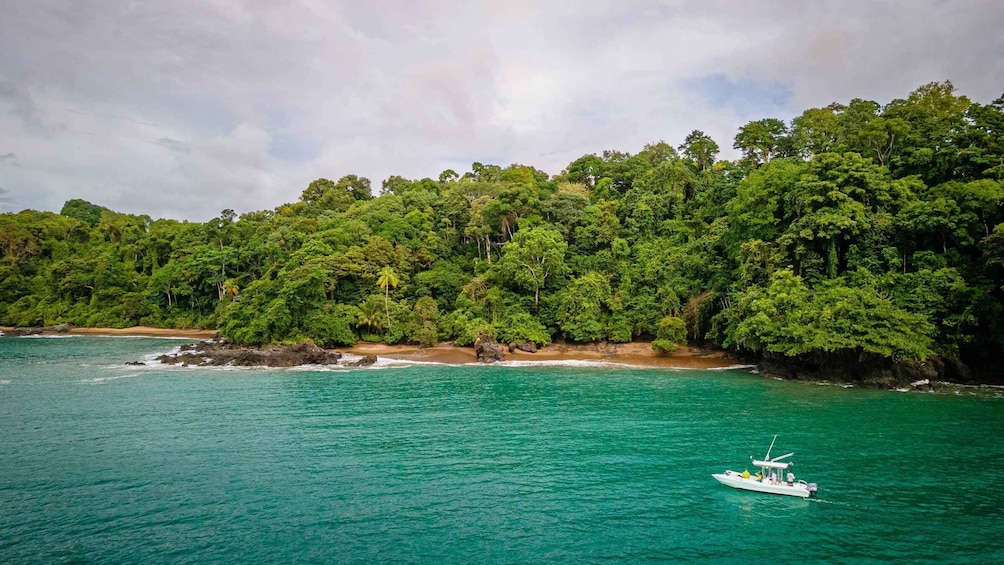 Picture 7 for Activity Corcovado National Park: Two Days Corcovado Costa Rica