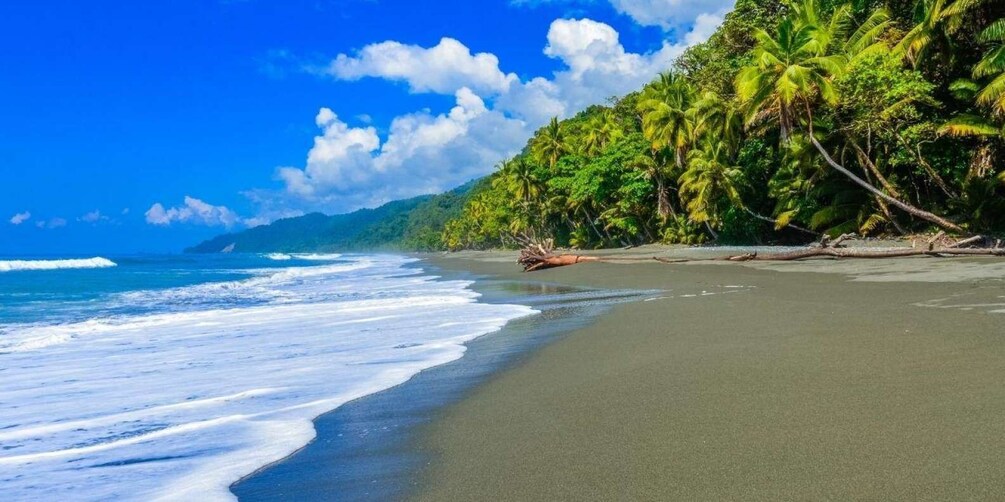 Picture 14 for Activity Corcovado National Park: Two Days Corcovado Costa Rica
