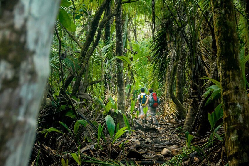 Picture 18 for Activity Corcovado National Park: Two Days Corcovado Costa Rica