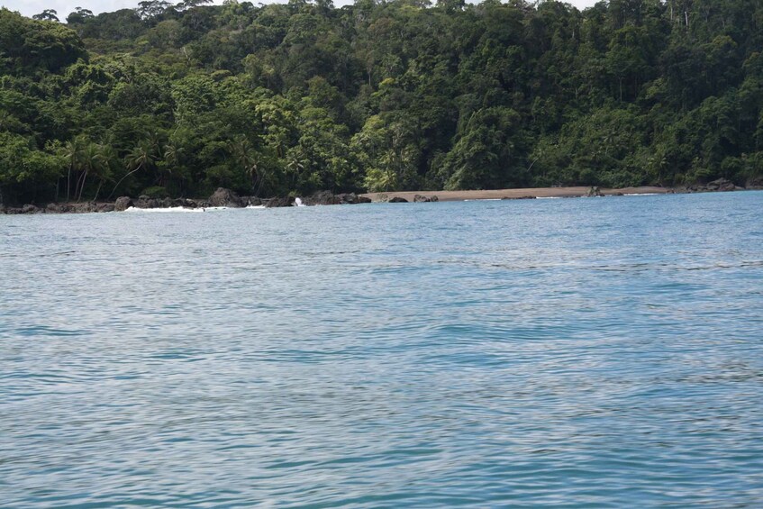 Picture 13 for Activity Corcovado National Park: Two Days Corcovado Costa Rica
