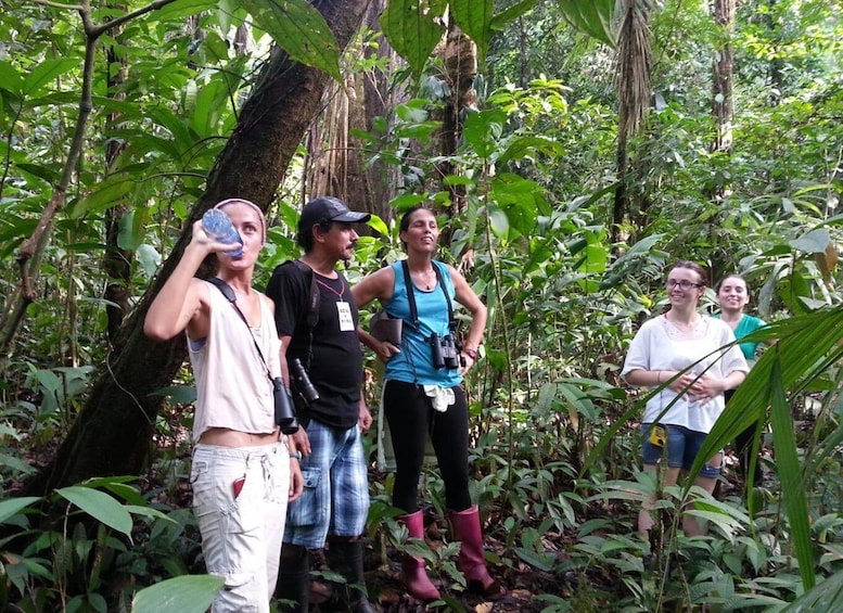 Picture 22 for Activity Corcovado National Park: Two Days Corcovado Costa Rica