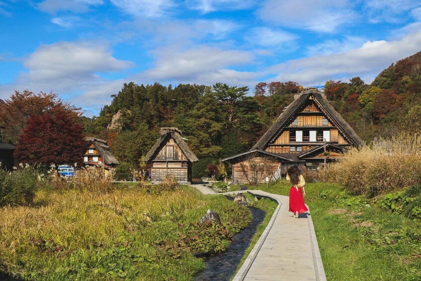 Picture 3 for Activity From Toyama: Private Day Tour to Shirakawago & Takayama