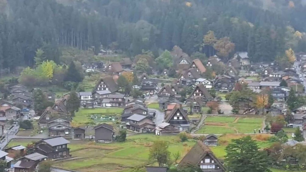 Picture 4 for Activity From Toyama: Private Day Tour to Shirakawago & Takayama