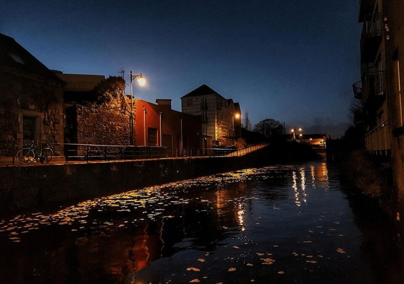 Picture 6 for Activity Galway: Dark History Guided City Walking Tour