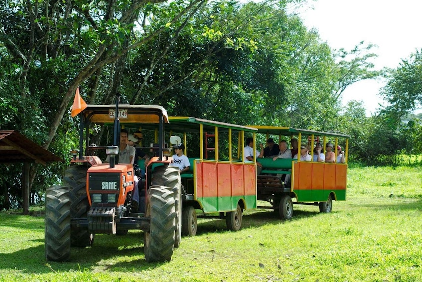Picture 4 for Activity Tarcoles: Jitney Tour in Hacienda Nosavar