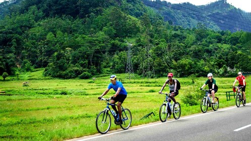 本托塔：帶有茶點的導遊自行車遊覽