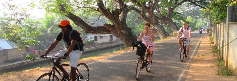 Picture 3 for Activity Bentota: Guided Cycling Tour with Refreshments