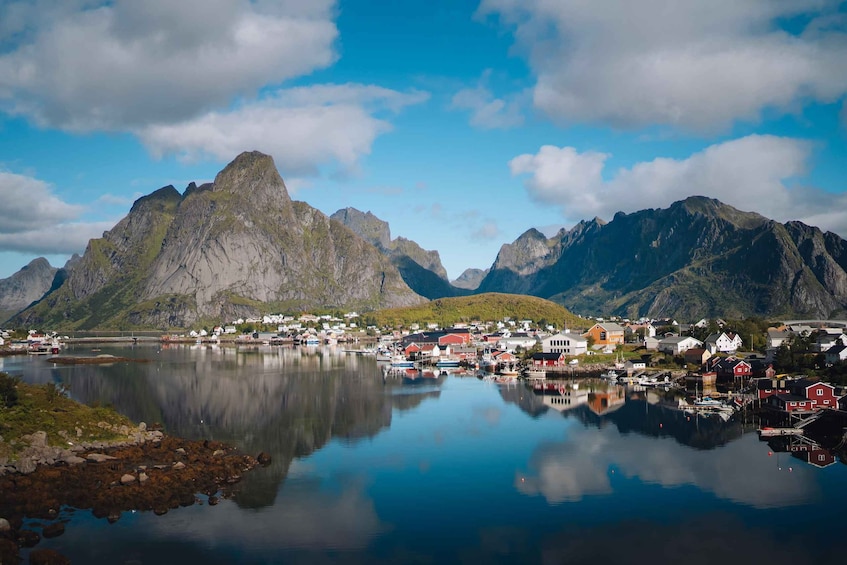 From Svolvær: Best of Lofoten Tour in One Day