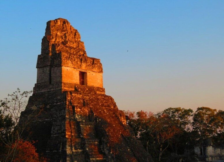 Picture 4 for Activity Flores, Petén: Tikal Mayan Ruins Adventure