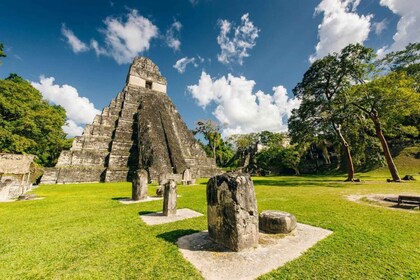 Flores, Petén: Tikal Mayan Ruins Adventure