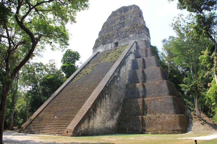 Picture 2 for Activity Flores, Petén: Tikal Mayan Ruins Adventure