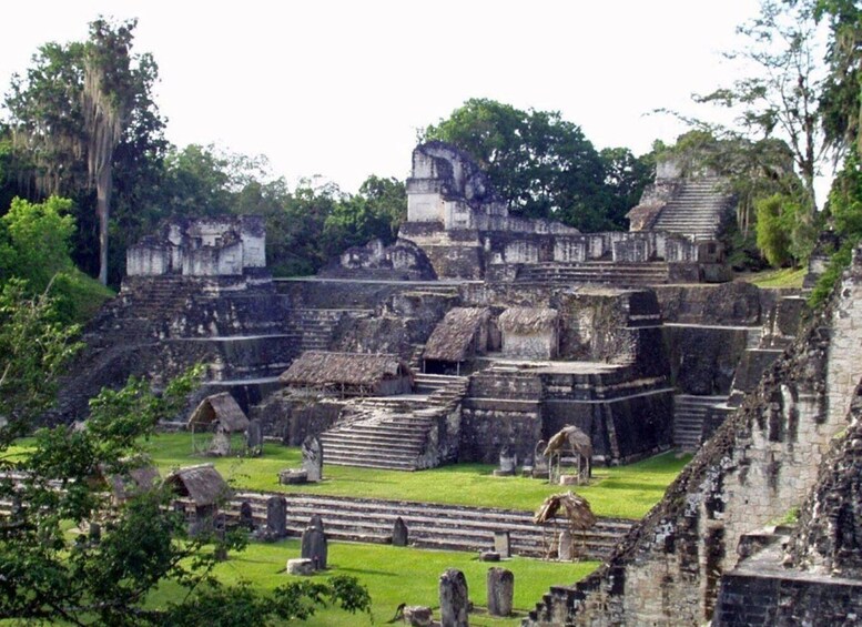 Picture 3 for Activity Flores, Petén: Tikal Mayan Ruins Adventure