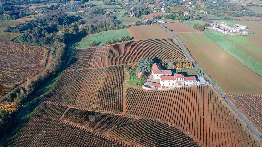 Picture 6 for Activity Tenuta San Lorenzo: wine tasting and winery tour