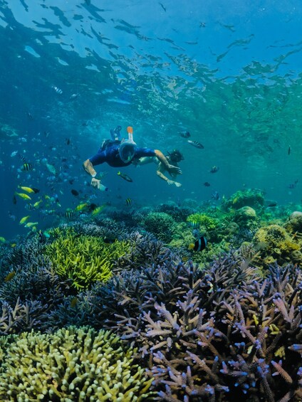 Picture 2 for Activity Lombok:Privat Snorkeling Gili Nanggu,Gili Sudak,Gili Kedis.