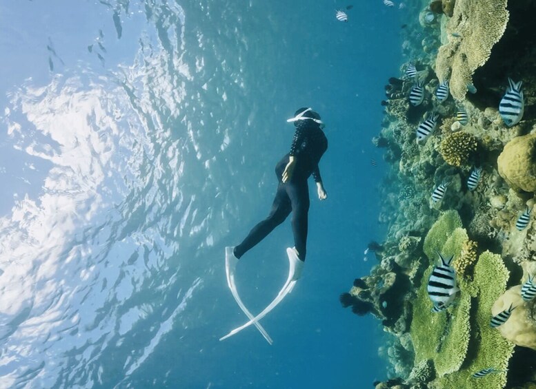 Picture 3 for Activity Lombok:Privat Snorkeling Gili Nanggu,Gili Sudak,Gili Kedis.