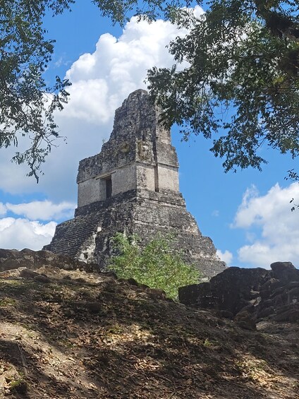 Picture 14 for Activity From Flores: Tikal Exclusive cultural Tours All inclusive