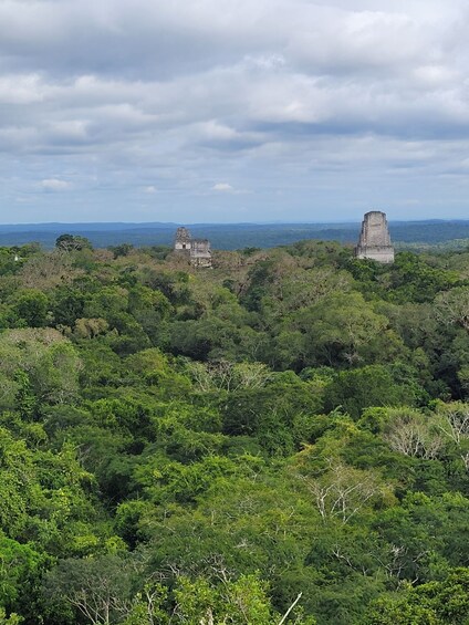 Picture 18 for Activity From Flores: Tikal Exclusive cultural Tours All inclusive