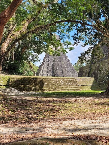 Picture 17 for Activity From Flores: Tikal Exclusive cultural Tours All inclusive