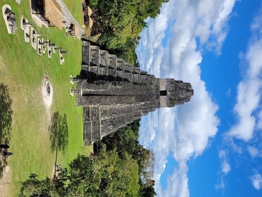 From Flores: Tikal Exclusive cultural Tours All inclusive