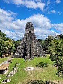 From Flores: Tikal Exclusive cultural Tours All-inclusive