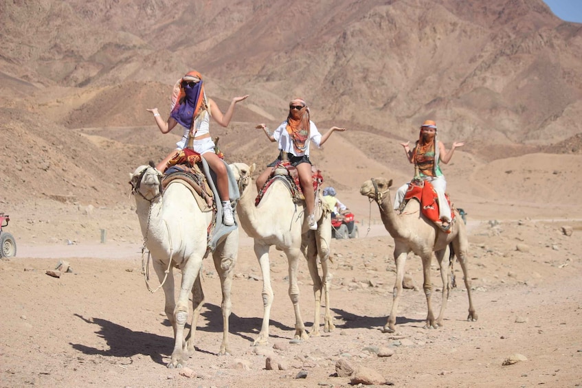 Picture 29 for Activity Sharm El Sheikh: Jeep Adventure to Blue Hole, Canyon & Dahab