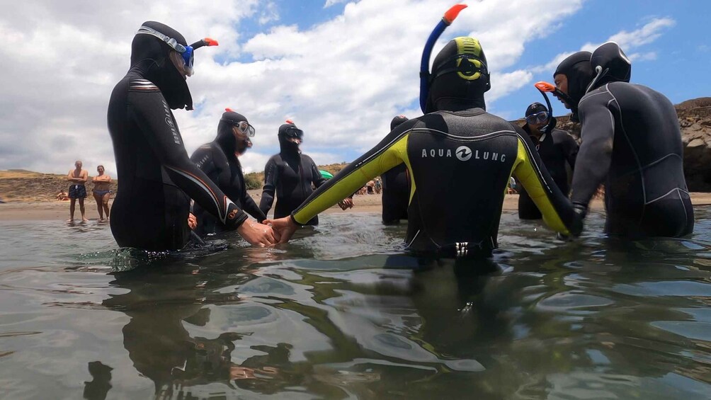 Picture 11 for Activity Tenerife: Snorkeling Tour in a Marine Protected Area