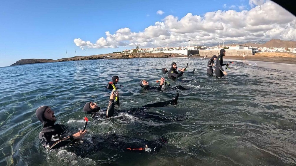 Picture 34 for Activity Tenerife: Snorkeling Tour in a Marine Protected Area