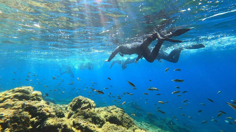 Picture 3 for Activity Tenerife: Snorkeling Tour in a Marine Protected Area