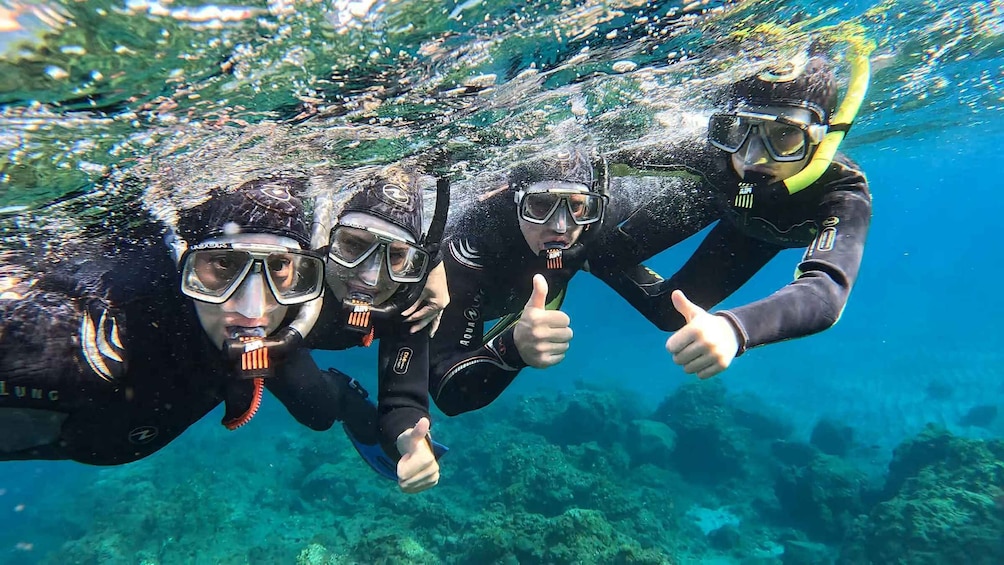 Picture 29 for Activity Tenerife: Snorkeling Tour in a Marine Protected Area