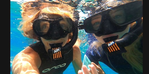 Tenerife: Snorkelling Tour in a Marine Protected Area