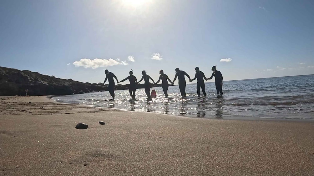 Picture 15 for Activity Tenerife: Snorkeling Tour in a Marine Protected Area