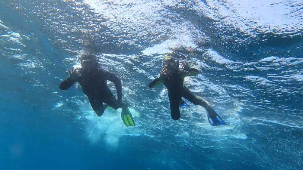 Picture 17 for Activity Tenerife: Snorkeling Tour in a Marine Protected Area