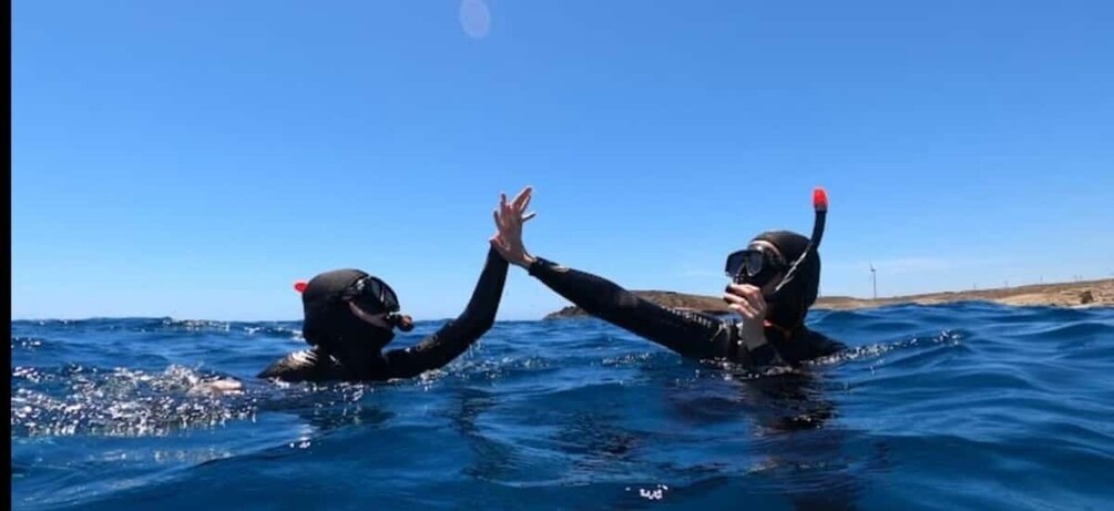 Picture 21 for Activity Tenerife: Snorkeling Tour in a Marine Protected Area