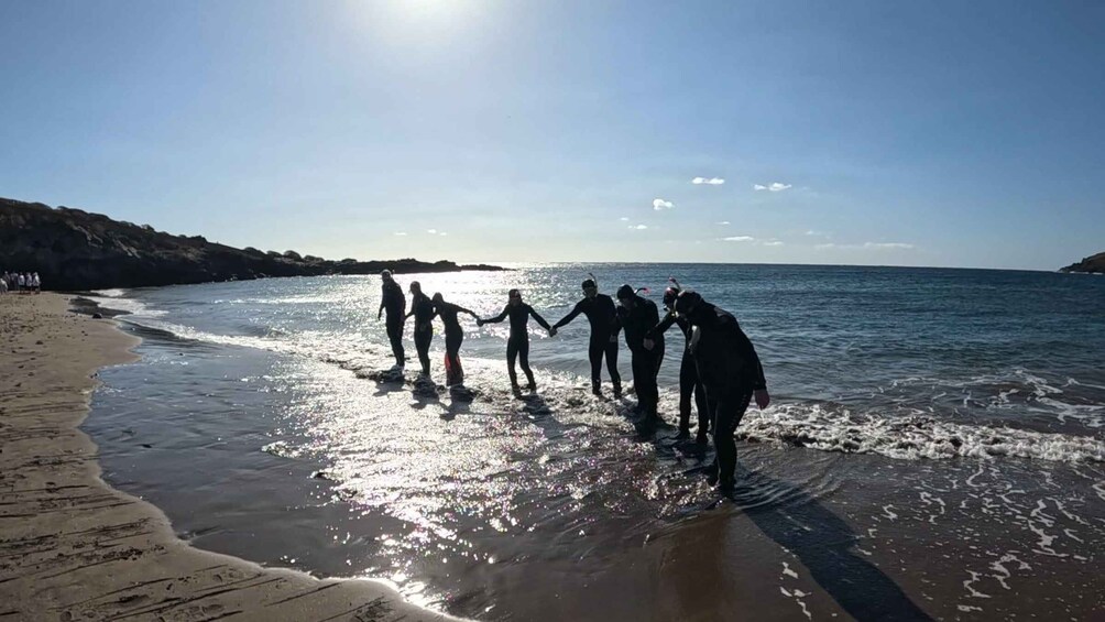 Picture 28 for Activity Tenerife: Snorkeling Tour in a Marine Protected Area