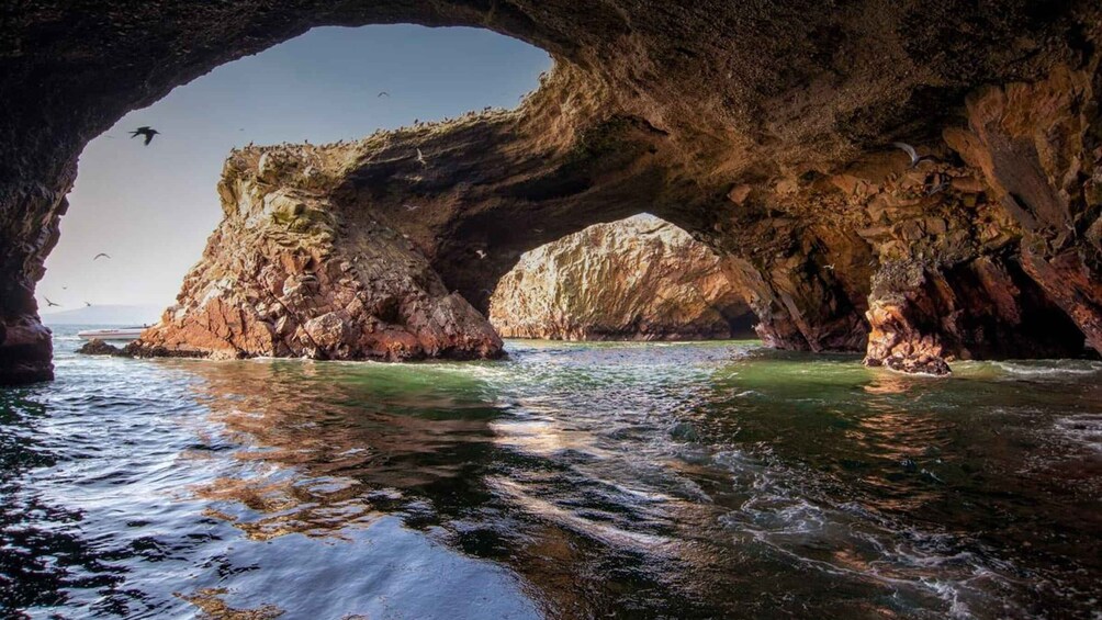 Picture 11 for Activity Paracas: Observation of Marine Fauna in Ballestas Islands