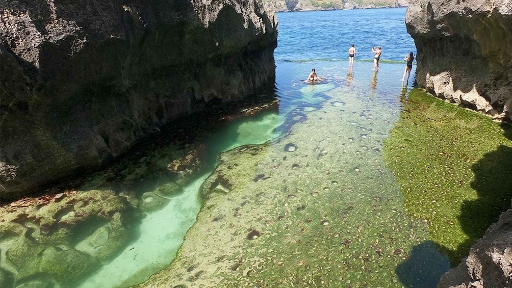Picture 4 for Activity Full Day Nusa Penida Tour