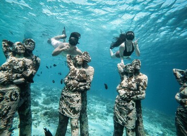 Gili Island: Group or Private Snorkelling Tour