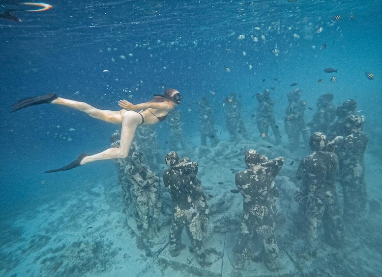 Picture 5 for Activity Gili Island: Group or Private Snorkeling Tour