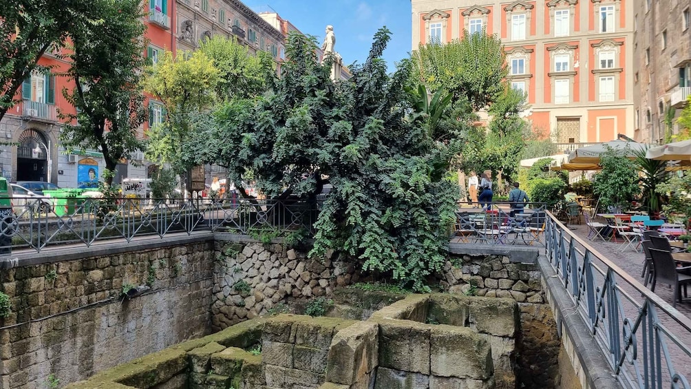 Picture 18 for Activity Naples: Historic City Center Guided Walking Tour