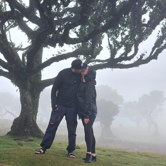 Fanal Tour By overland Madeira