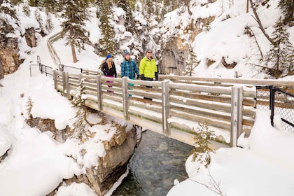 Marble & Johnston Canyon Icewalk Combo